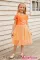 橙色花卉短袖帝国高腰薄纱覆层小女孩连衣裙
