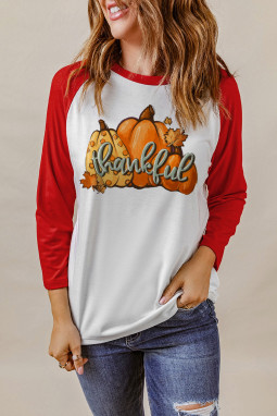 红色Thankful Pumpkins 印花拼色图案插肩上衣