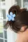天蓝色花朵发夹