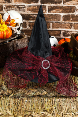 红宝石网状装饰尖头万圣节女巫帽