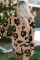 豹纹动物印花长袖套头衫和短裤休闲装