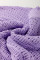 Lavendula Pointelle针织肋骨饰板短袖毛衣