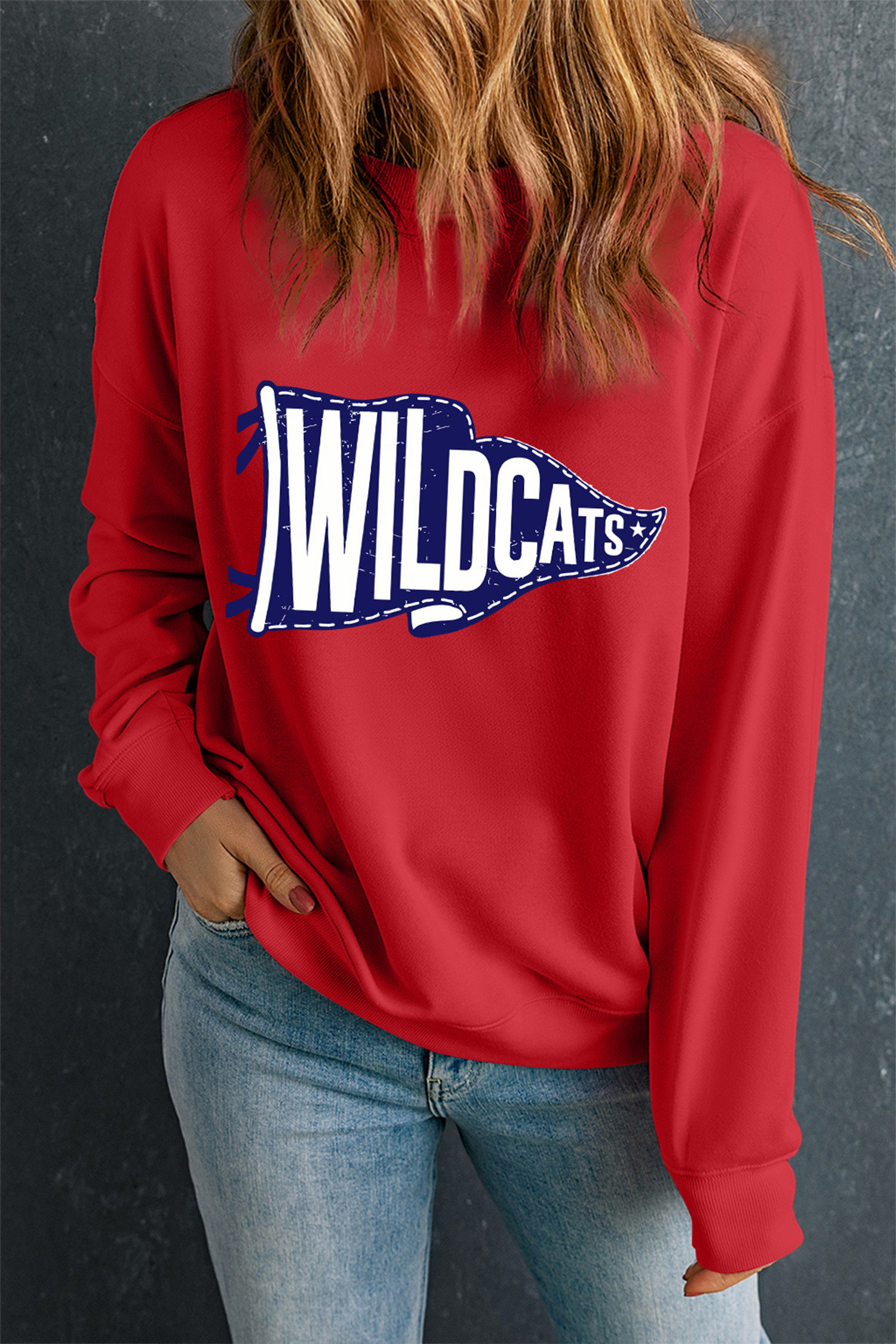 红色 WILDCATS 三角旗印花休闲套头衫 LC25321476