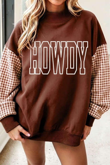 咖啡色撞色格子袖 HOWDY 刺绣字母图案小高领运动衫
