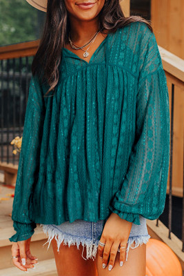 Evergreen Sheer Lace Balloon Sleeve Babydoll Blouse LC25128420-P2509