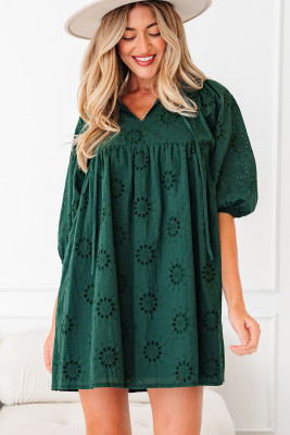 Blackish Green Embroidered Eyelet Pattern 3/4 Puffy Sleeve Swing Mini Dress LC6126199-P309