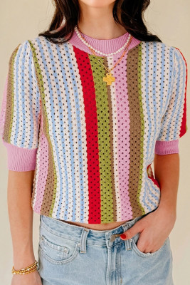 Multicolour Striped Pointelle Knit Short Sleeve Sweater LC2727631-P22