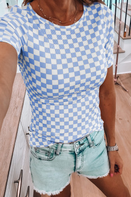 Sky Blue Checkered Ribbed Slim Fit Crew Neck T Shirt LC25227094-P420