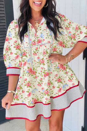 Apricot Striped Edge 3/4 Puff Sleeve Floral Dress LC6126538-P1820