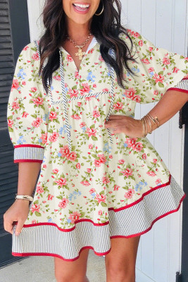 Apricot Striped Edge 3/4 Puff Sleeve Floral Dress LC6126538-P1820