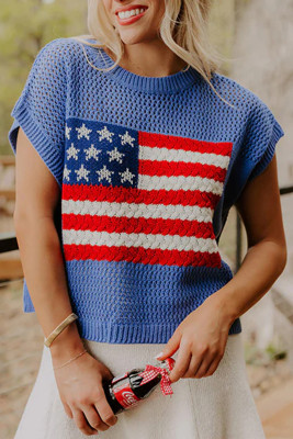 Sky Blue Flag Graphic Short Sleeve Sweater Top LC2771463-P205
