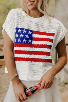 White Flag Graphic Short Sleeve Sweater Top LC2771463-P1
