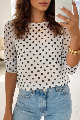 Black Polka Dot Sheer Mesh Long Sleeve Round Neck Shift Top LC25138491-P220