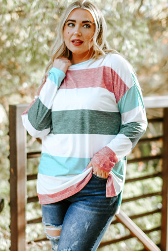 Plus Size Green  Colorblock Pullover Top