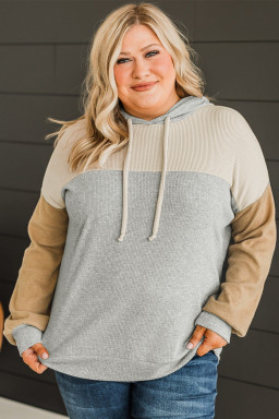 Plus Size Multicolour  Colorblock Drop Shoulder Ribbed Knit Hoodie