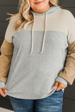 Plus Size Multicolour  Colorblock Drop Shoulder Ribbed Knit Hoodie