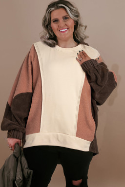Plus Size Brown Exposed Seam Colorblock  Hoodie