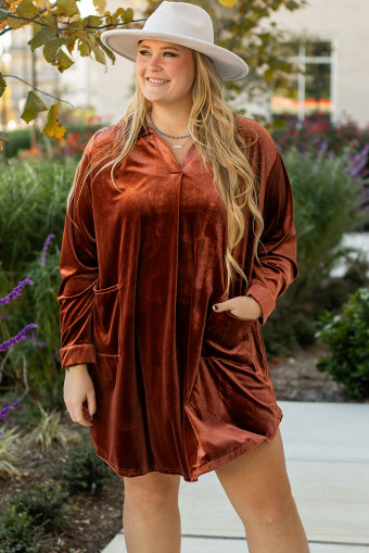 Plus Size Coffee  V Neck Collared Pleated Back Rounded Hem Velvet Dress
