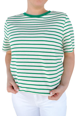 Plus Size Green Stripe  St Patricks Day Round Neck T Shirt