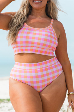 Plus Size Pink  Plaid Print High Waist Bikini Set