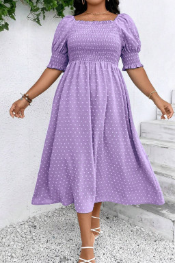 Plus Size Wisteria Swiss Dot Smocked Frilled Neckline Short Sleeve  Dress