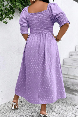 Curvy Wisteria Swiss Dot Smocked Frilled Neckline Short Sleeve Dress