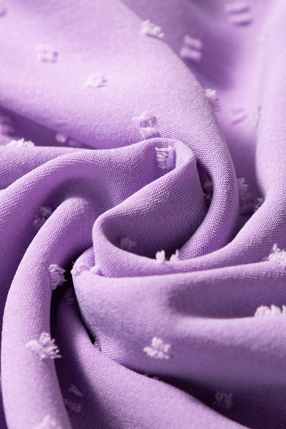 Plus Size Wisteria Swiss Dot Smocked Frilled Neckline Short Sleeve  Dress