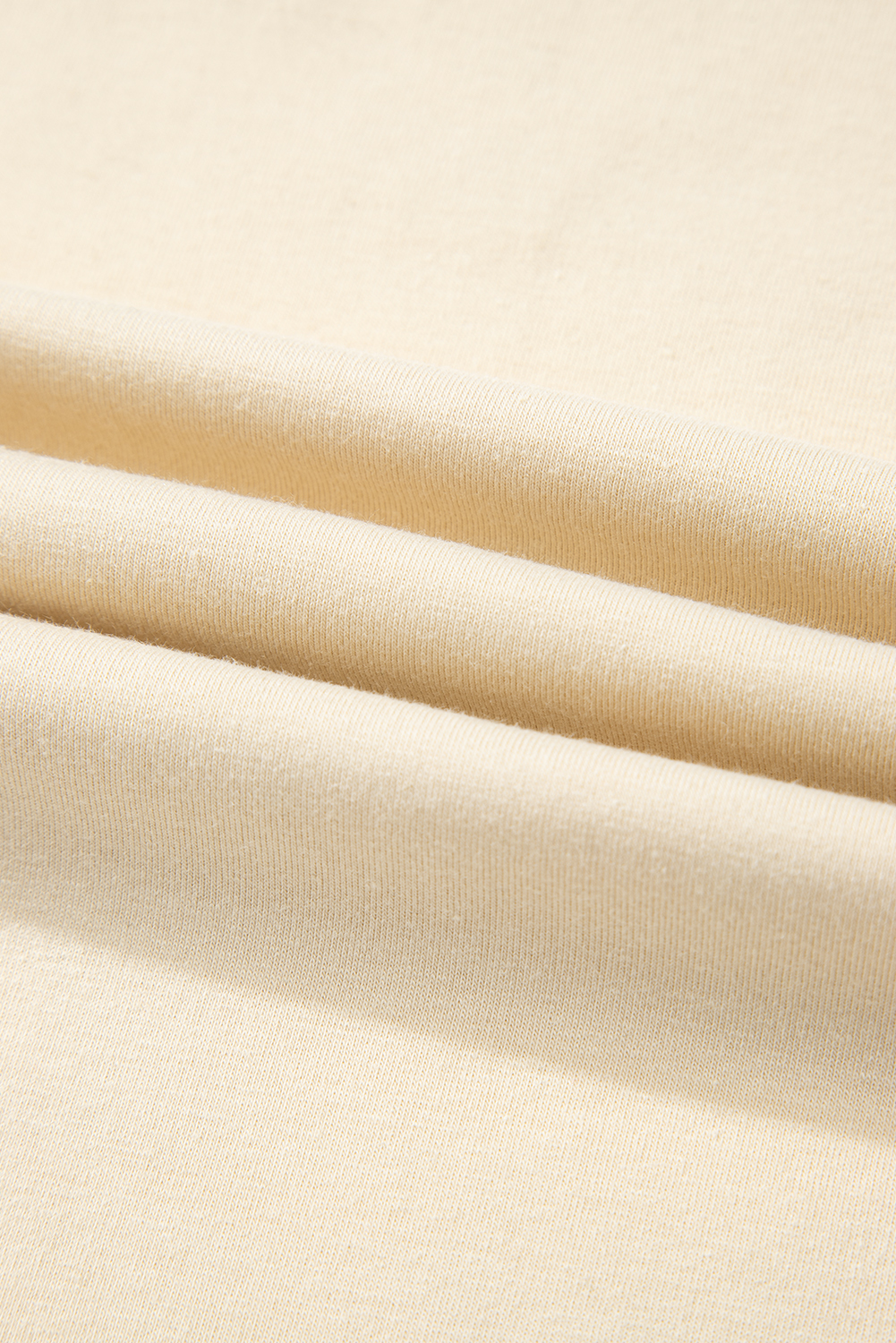 Parchment  Western Burro Cactus Crew Neck Graphic Tee