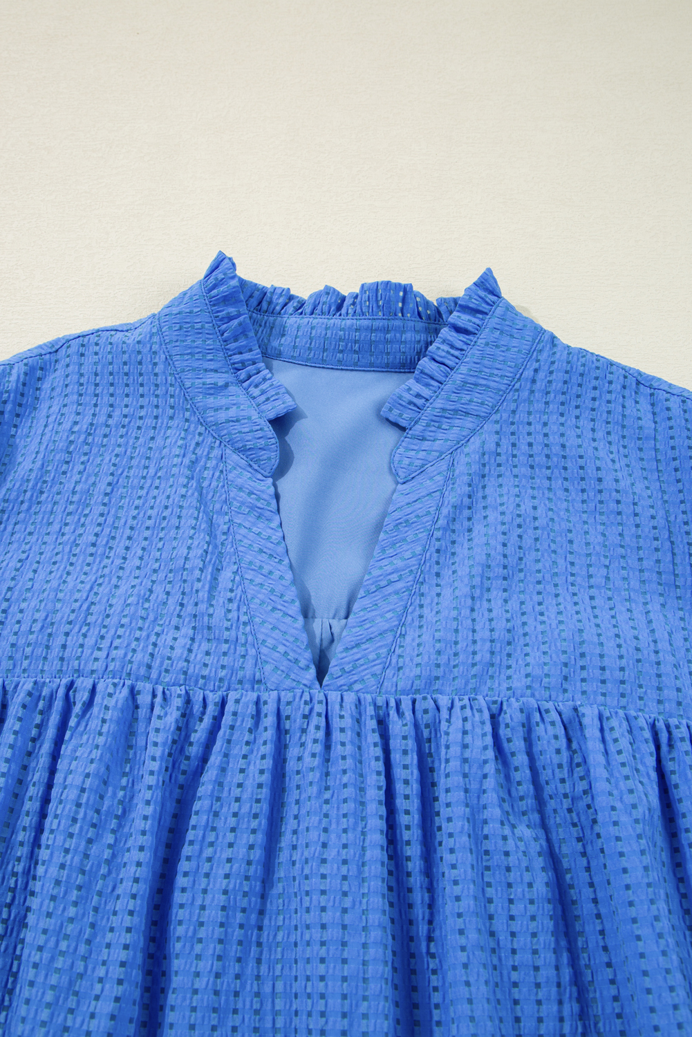 Plus Size Sky Blue  Floral Embroidered Puff Sleeve Gingham Mini Dress