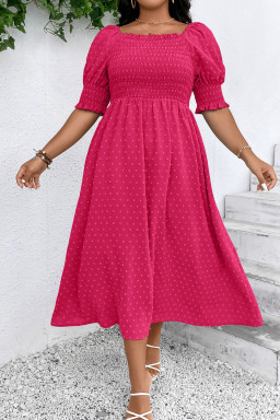 Plus Size Curvy Sachet Pink Swiss Dot Smocked Frilled Neckline Short Sleeve  Dress
