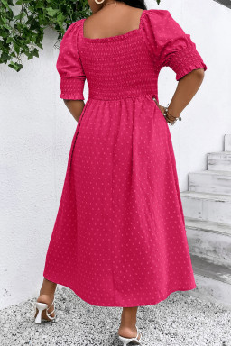 Plus Sachet Pink Swiss Dot Smocked Frilled Neckline Short Sleeve  Dress