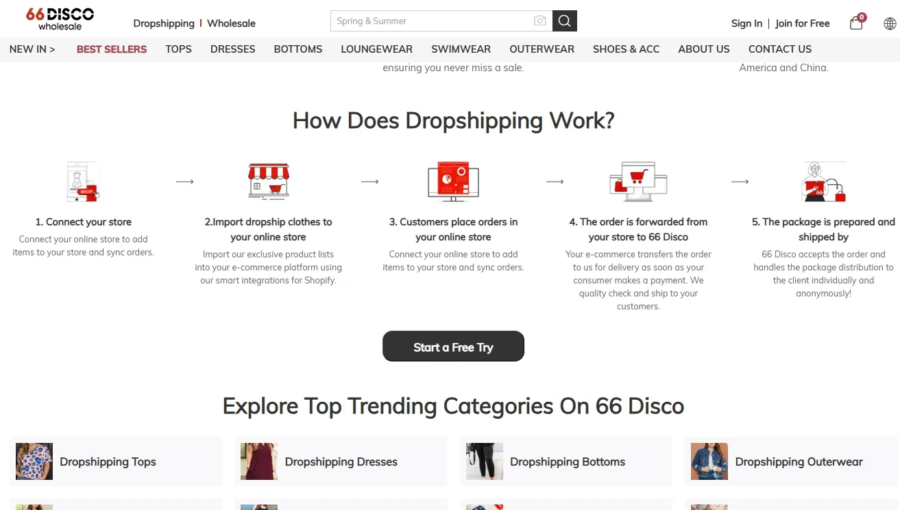 66disco dropshipping page