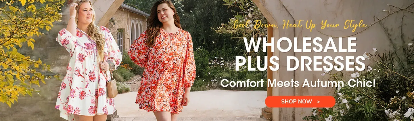 chic plus size dresses