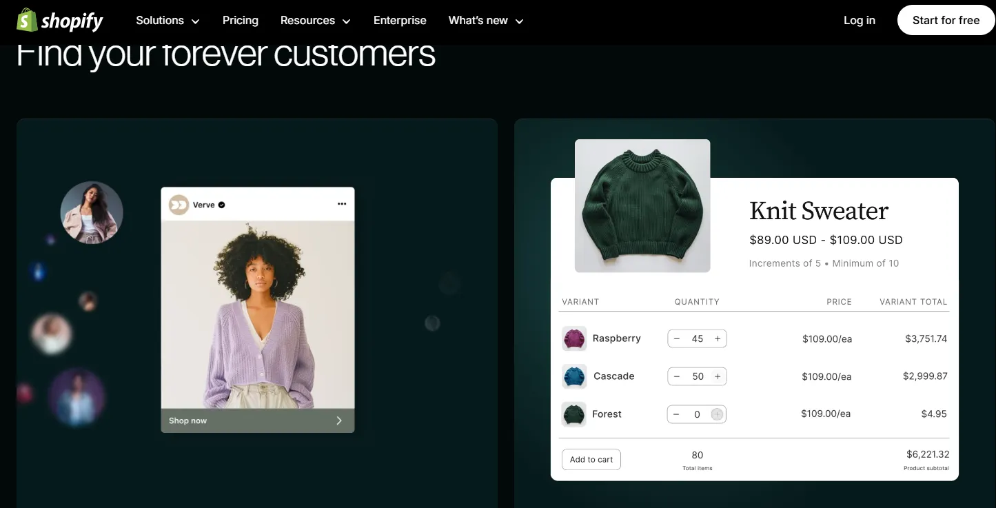 shopify online store