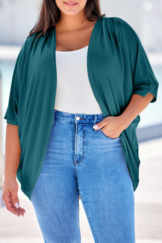 Plus Size Green-2 Shimmer Ribbed Texture  Cardigan