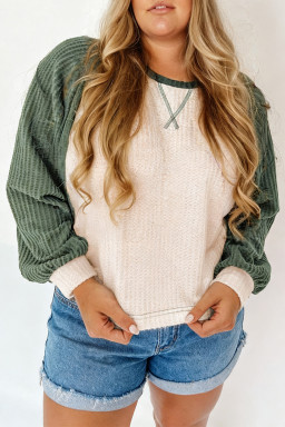 Plus Size Mist Green  Waffled Color Block Long Sleeve Top