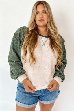 Plus Size Mist Green  Waffled Color Block Long Sleeve Top