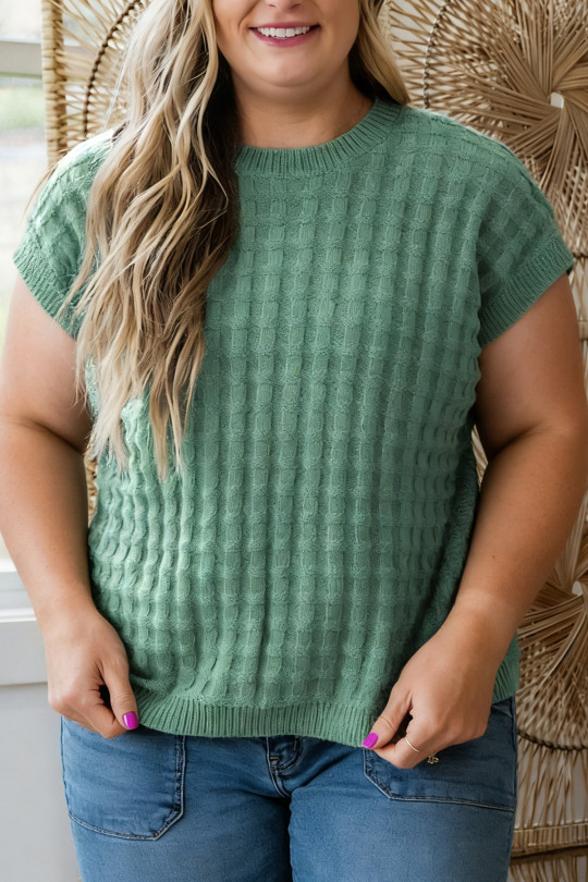 Plus Size Mist Green  Solid Color Textured Knit Short Sleeve Sweater