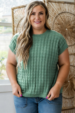 Plus Size Mist Green  Solid Color Textured Knit Short Sleeve Sweater