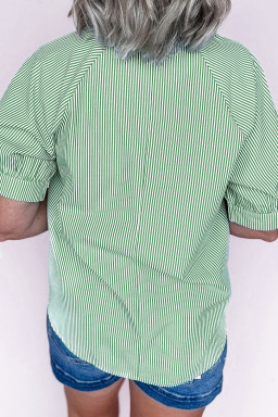 Plus Size Mint Green  Striped Print Collar V Neck Short Sleeve Blouse