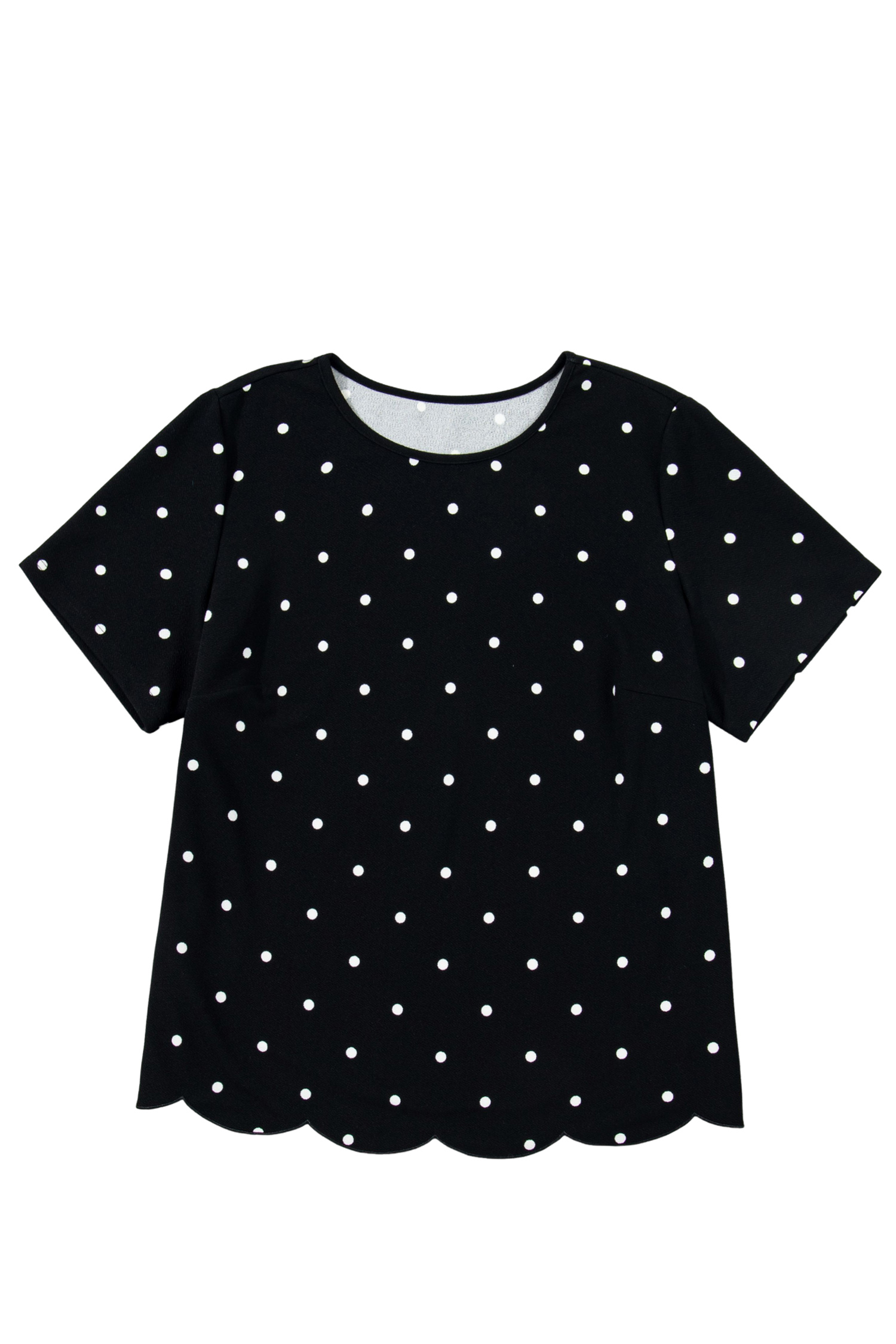 Plus Size Black  Dotted Casual T Shirt