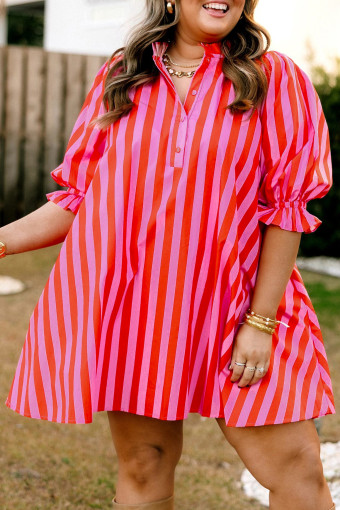 Rose Stripe Mini Dresses