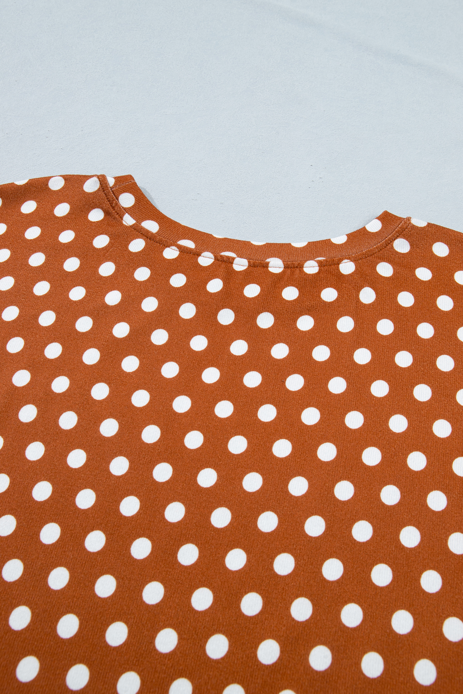 Plus Size Brown Polka Dot Print Dropped Shoulder Tee  Short Set