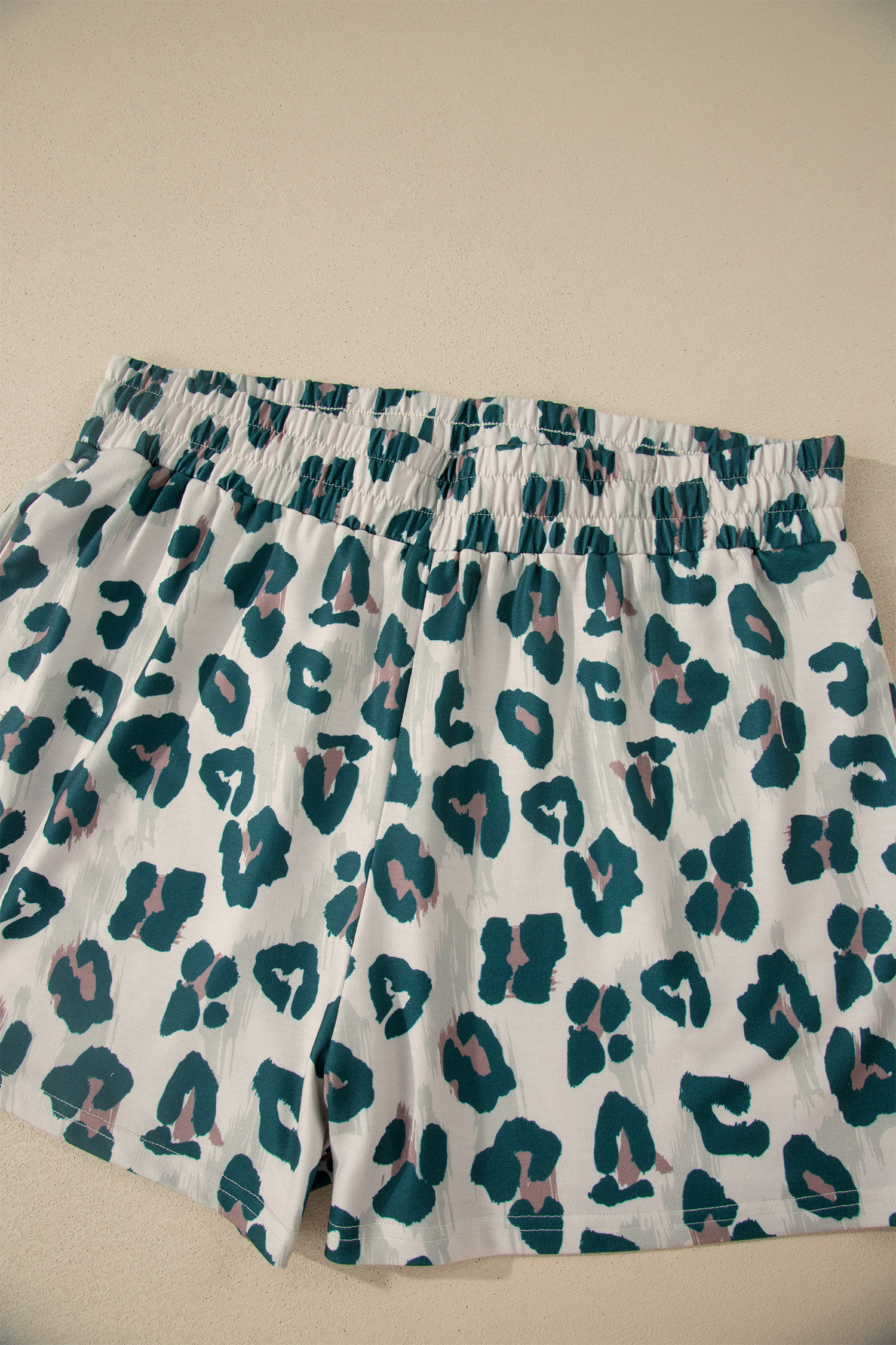 Plus Size Brown  Leopard Color Block Trim Short 2pcs Set