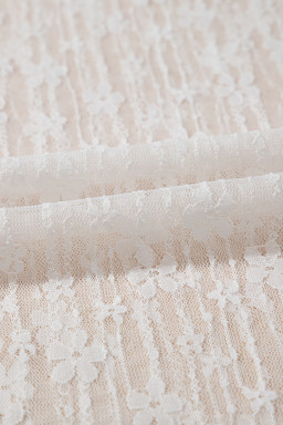 White Sheer Floral Lace Long Sleeve Slim Fit Top