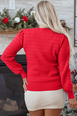 Fiery Red Trendy Pattern Knit Ribbed Cuffs Crew Neck Sweater