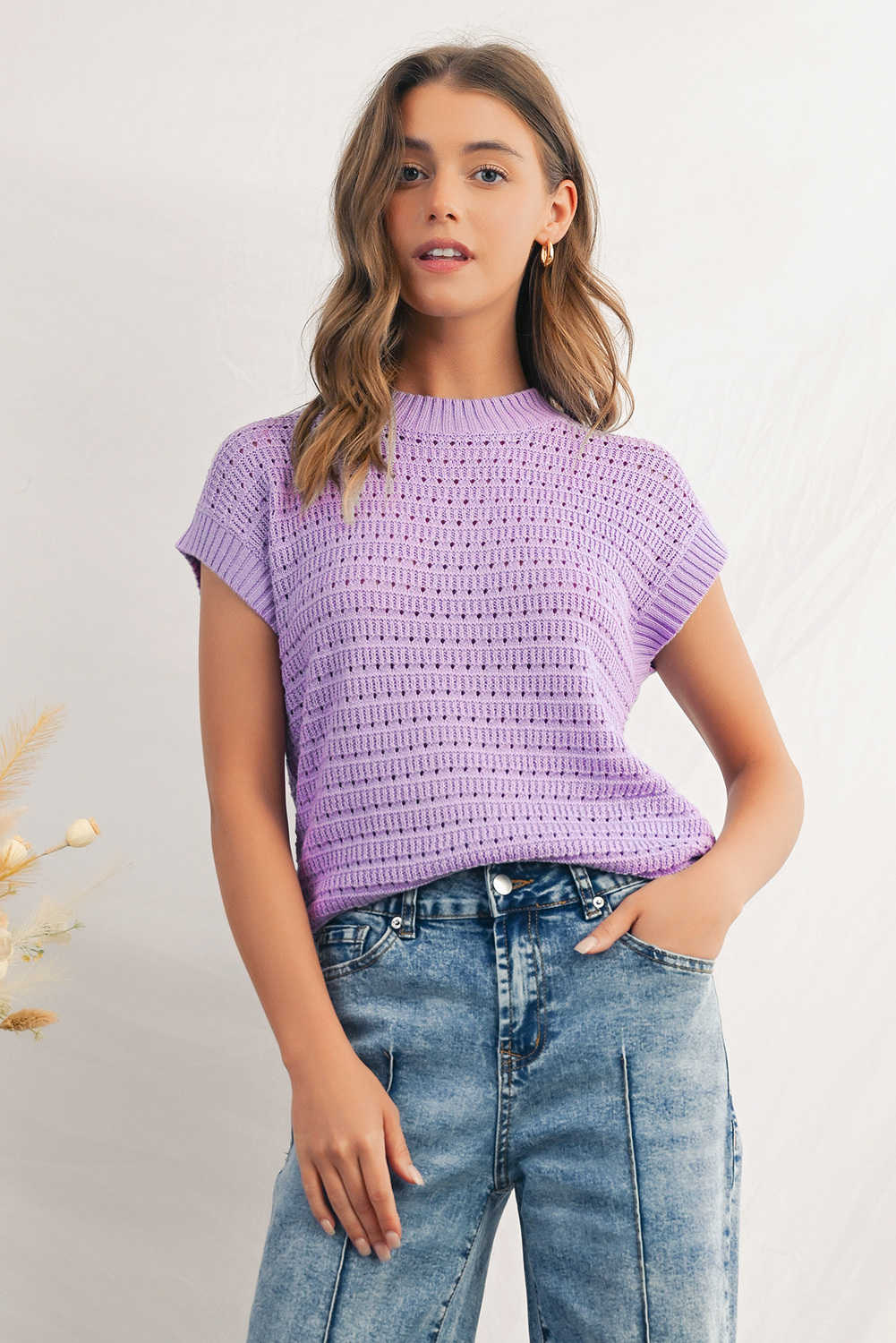 Lavendula Pointelle knit Ribbed Trim Short Sleeve Sweater