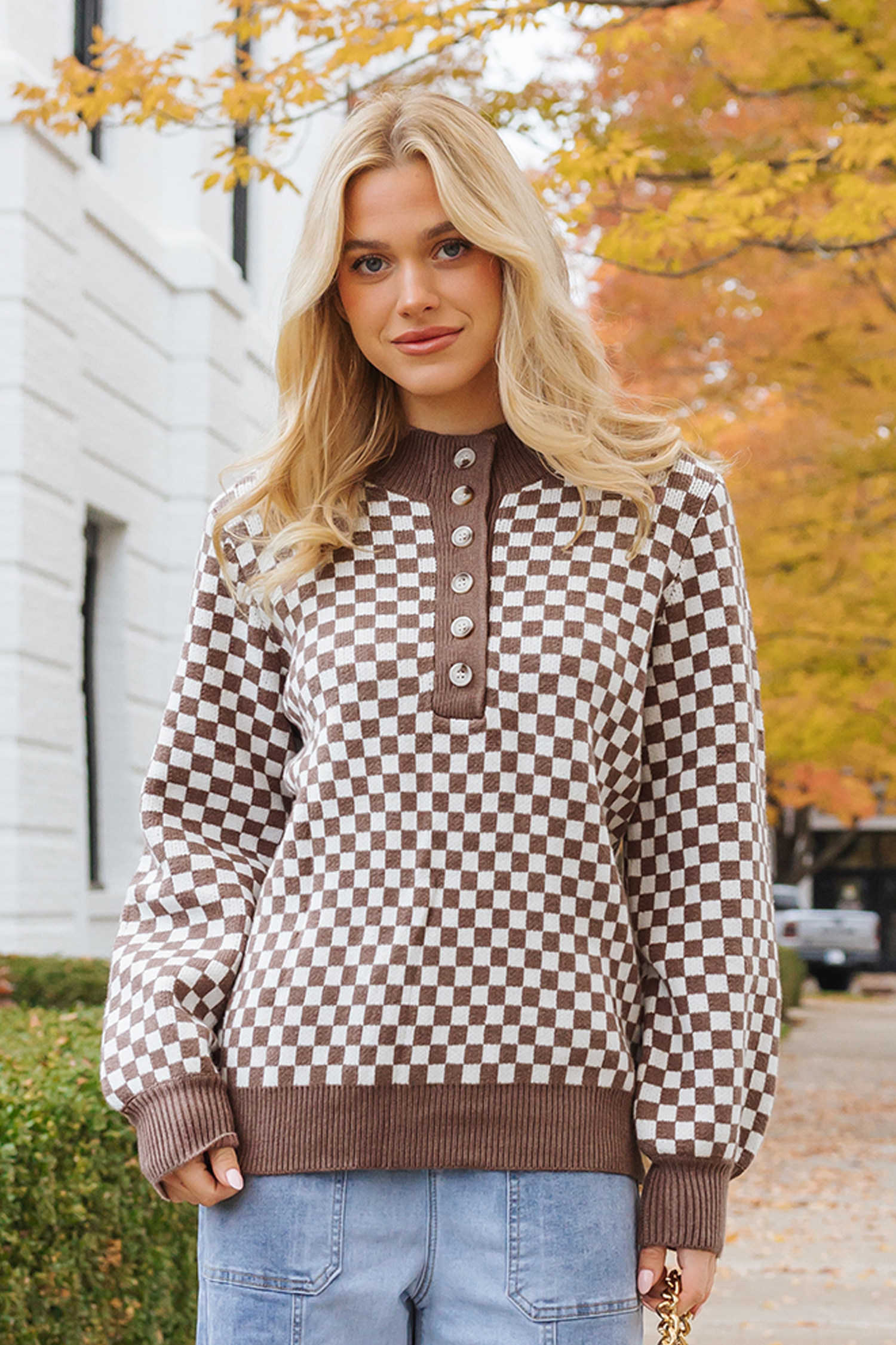 Dark Brown Half Button Ribbed Trim Checkerboard Knit Sweater