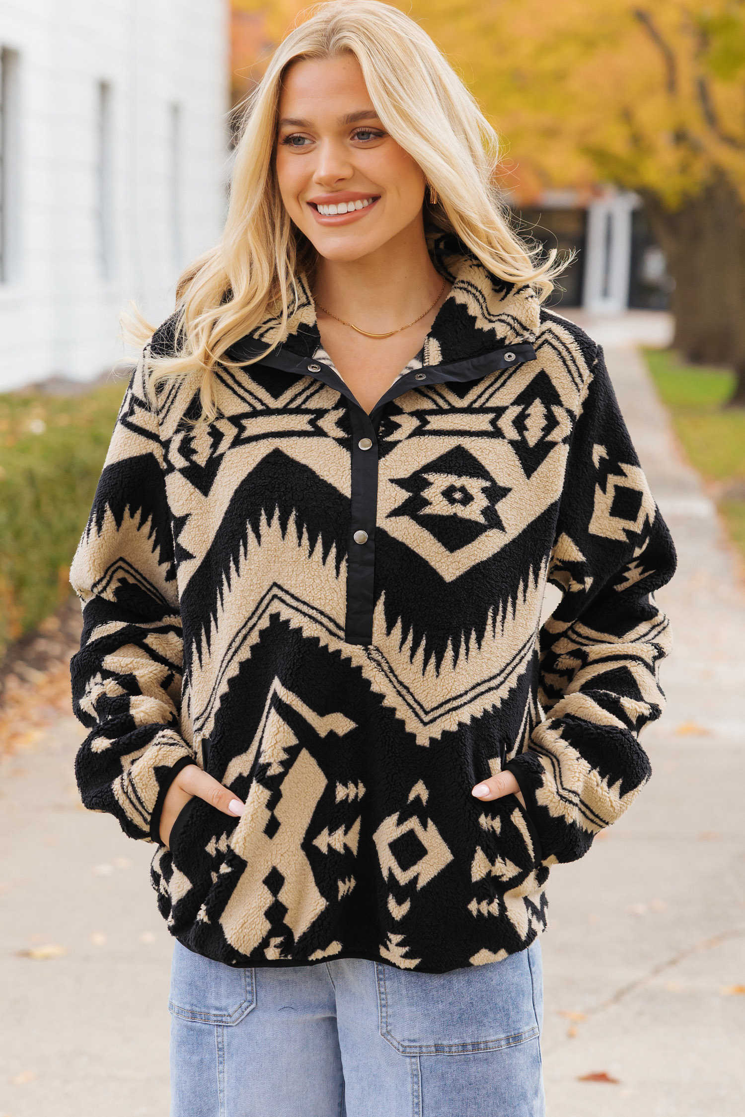 Black Western Aztec Half Placket Plush Sweatshirt