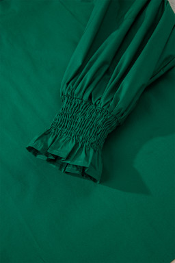 Evergreen Puffy Flounce Sleeve Leopard Trim V Neck Blouse